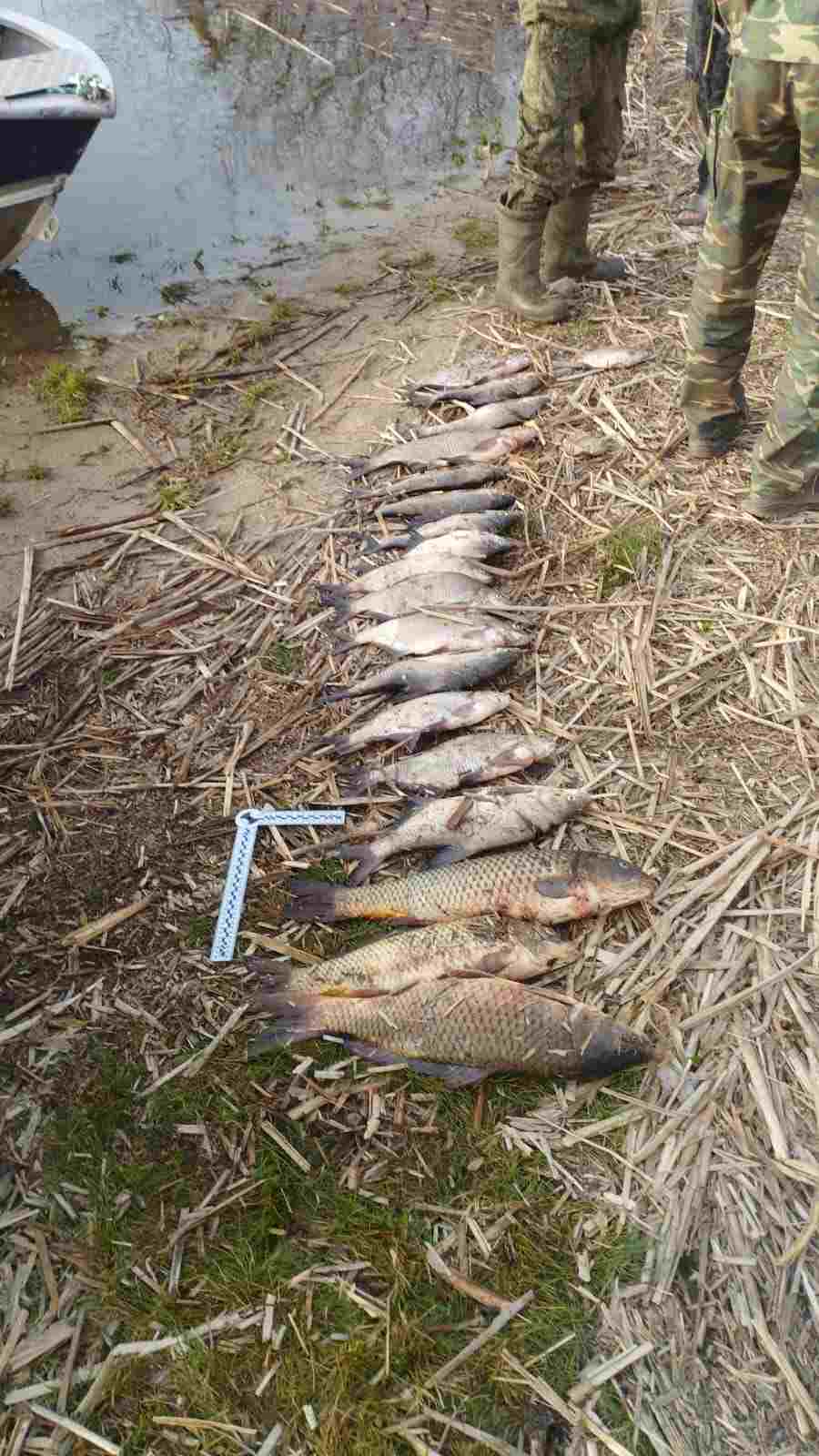 В Калачевском районе Волгоградской области задержана группа браконьеров