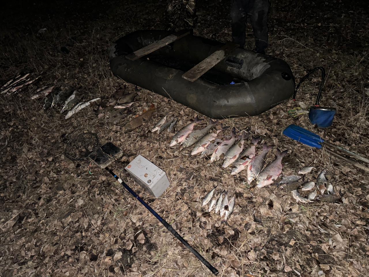 Электроудочка - самый варварский способ браконьерства