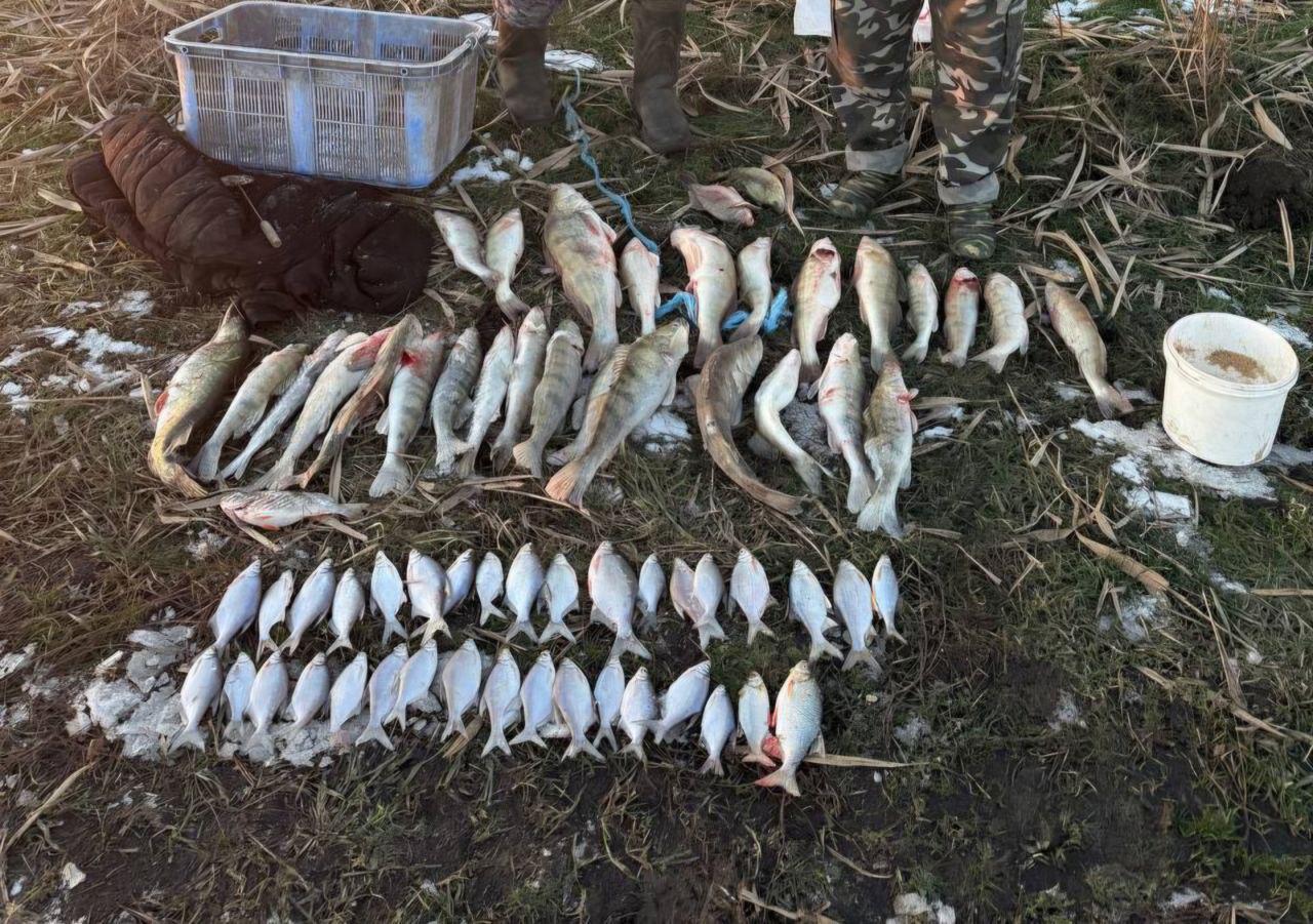 Результаты мероприятий, проведенных Азово-Кубанским отделом