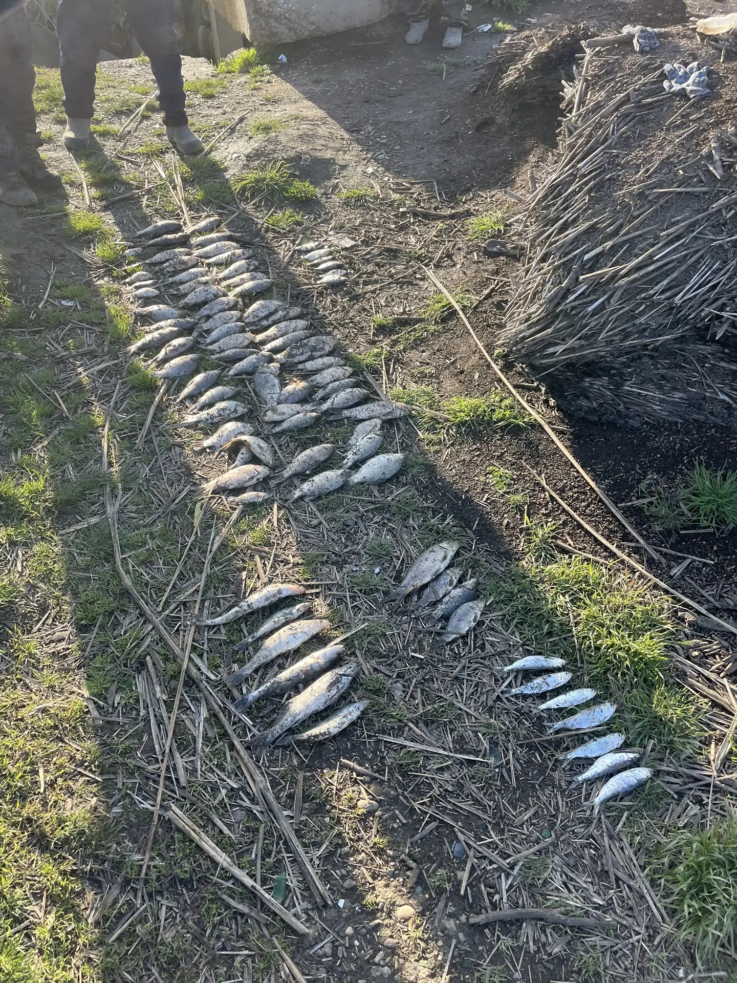Результаты мероприятий, проведенных Азово-Кубанским отделом