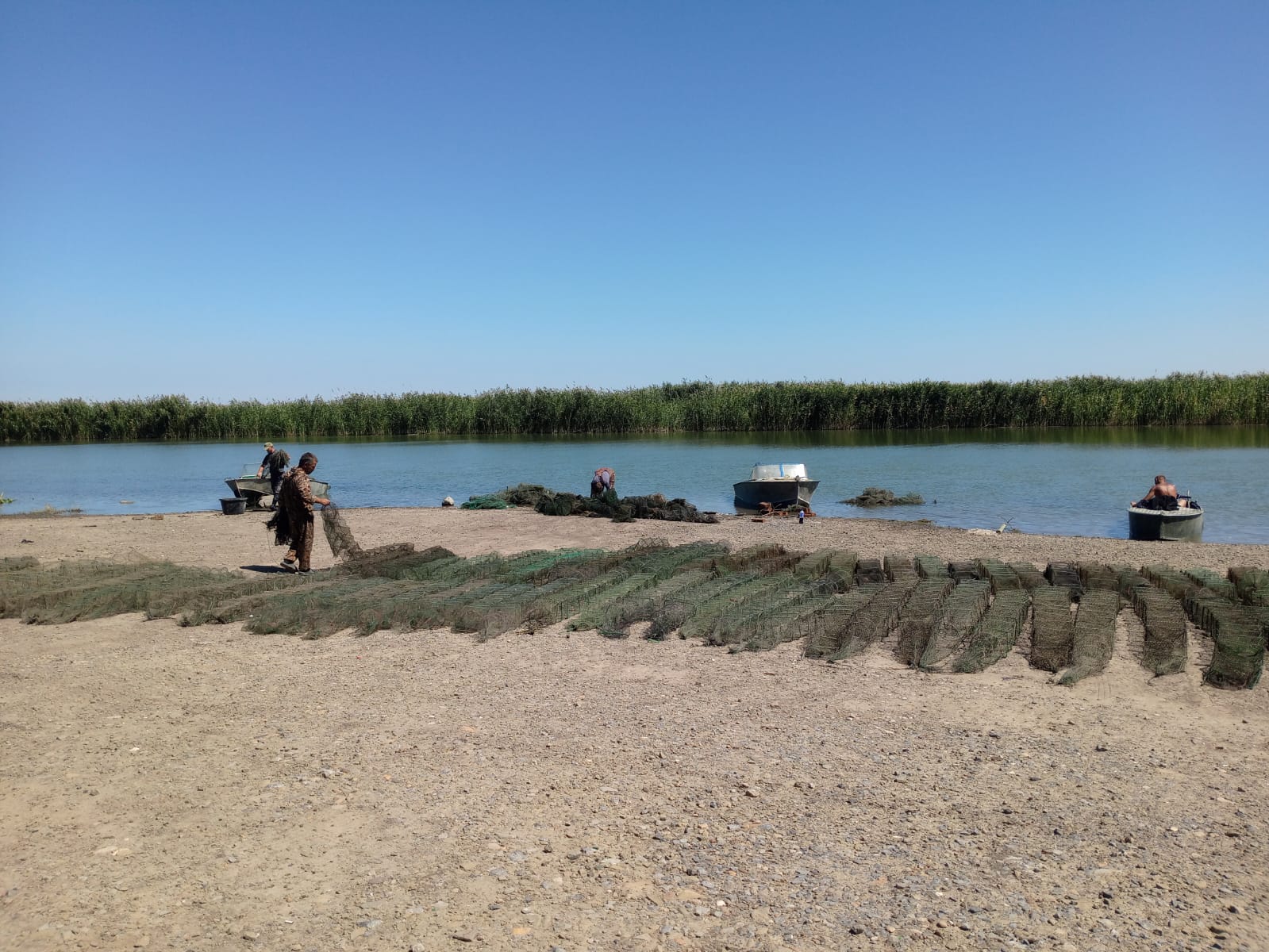 Рыбоохранный рейд в Багаевском районе Ростовской области