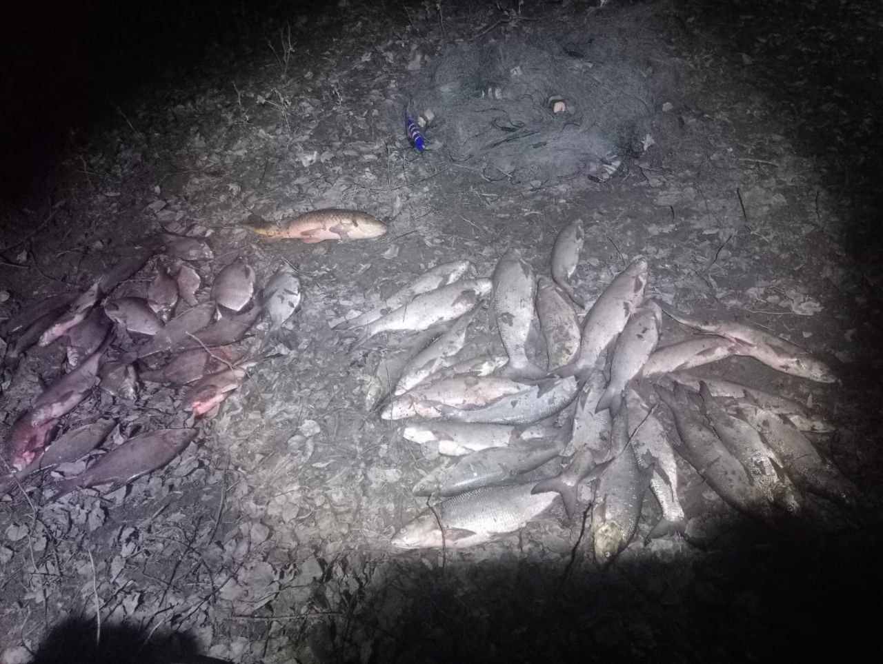Браконьеры на реке Дон