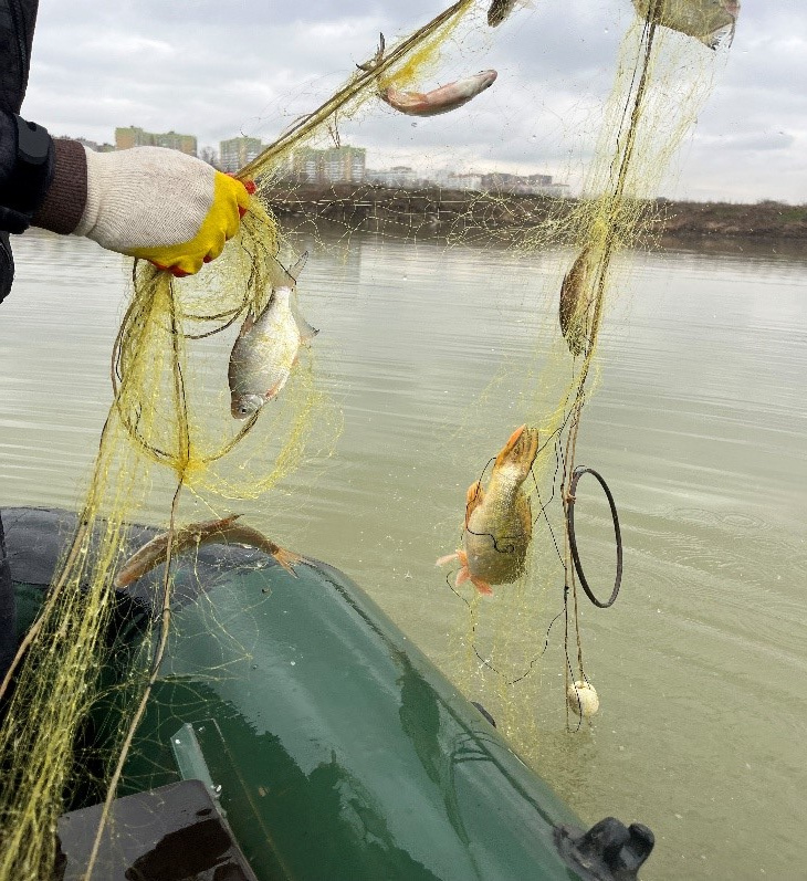 Контрольно-надзорные мероприятия, проводимые на водных объектах Республики Адыгея