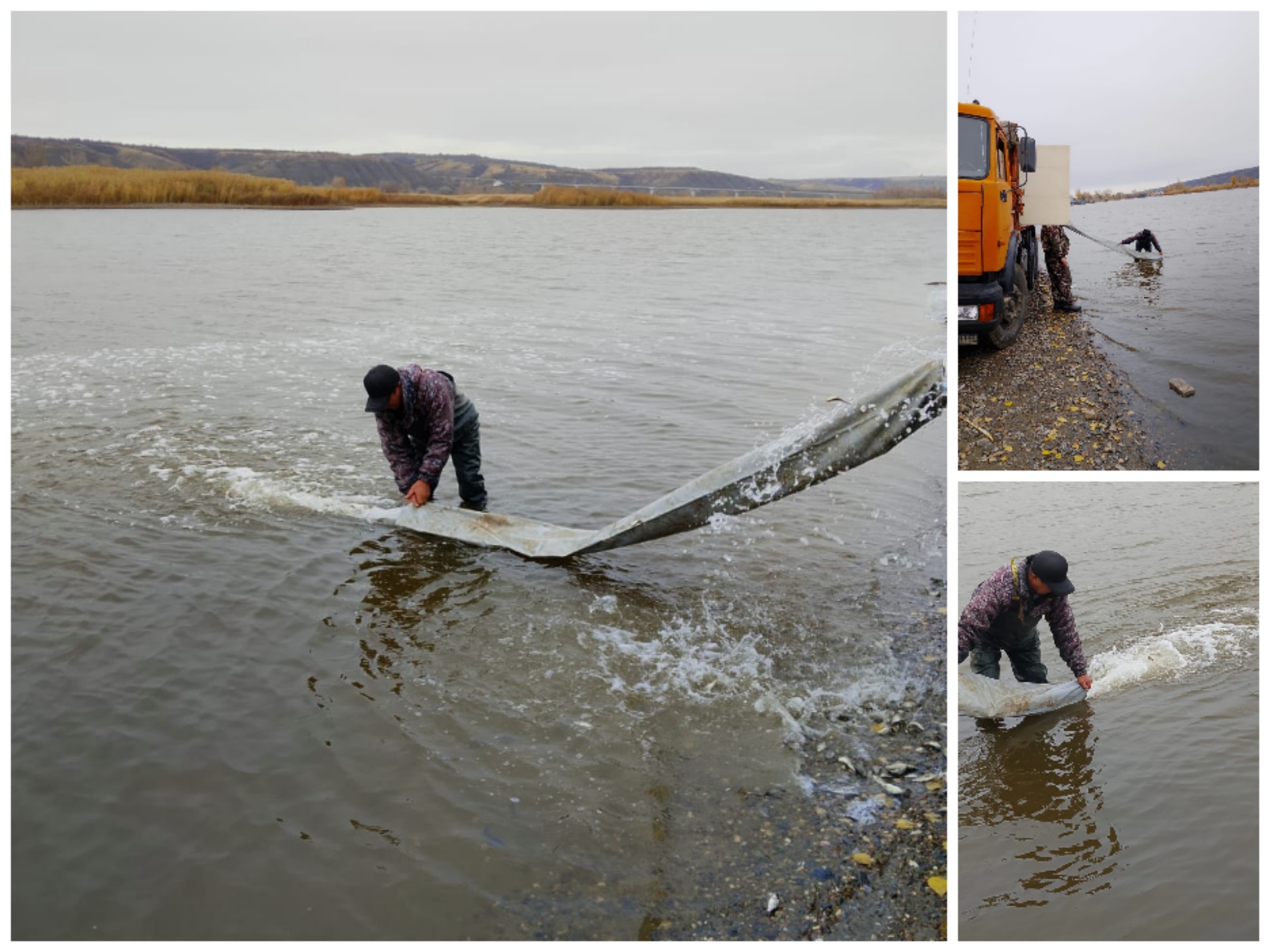 «Возмещение вреда, причиненного водным биологическим ресурсам, на примере одного предприятия»