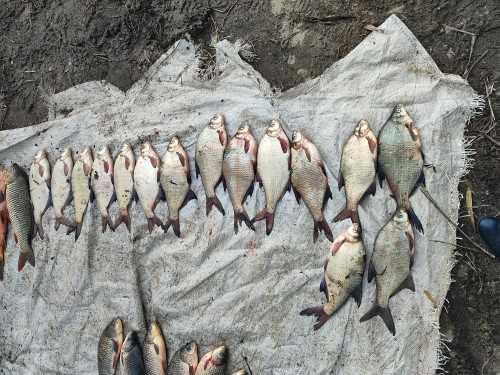 Инспекторы рыбоохраны совместно с инспекторами ГИБДД в рамках межведомственного взаимодействия вышли в рейд