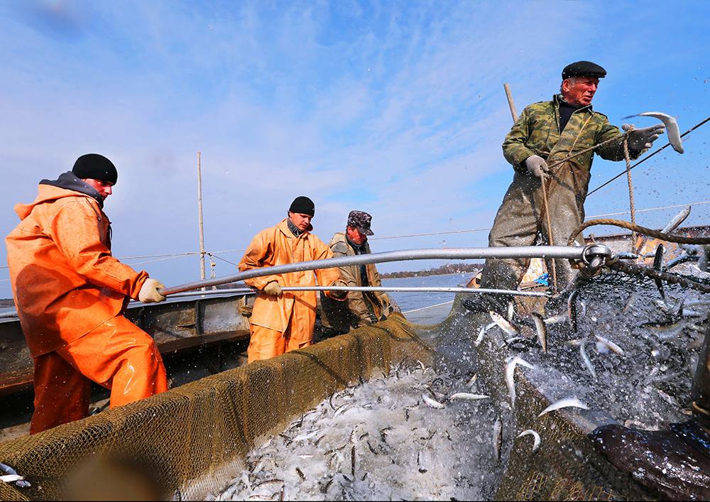 ПЕРЕЧЕНЬ видов водных биологических ресурсов внутренних вод Российской Федерации, за исключением внутренних морских вод Российской Федерации, общий допустимый улов которых не устанавливается, объемов и районов их добычи (вылова)