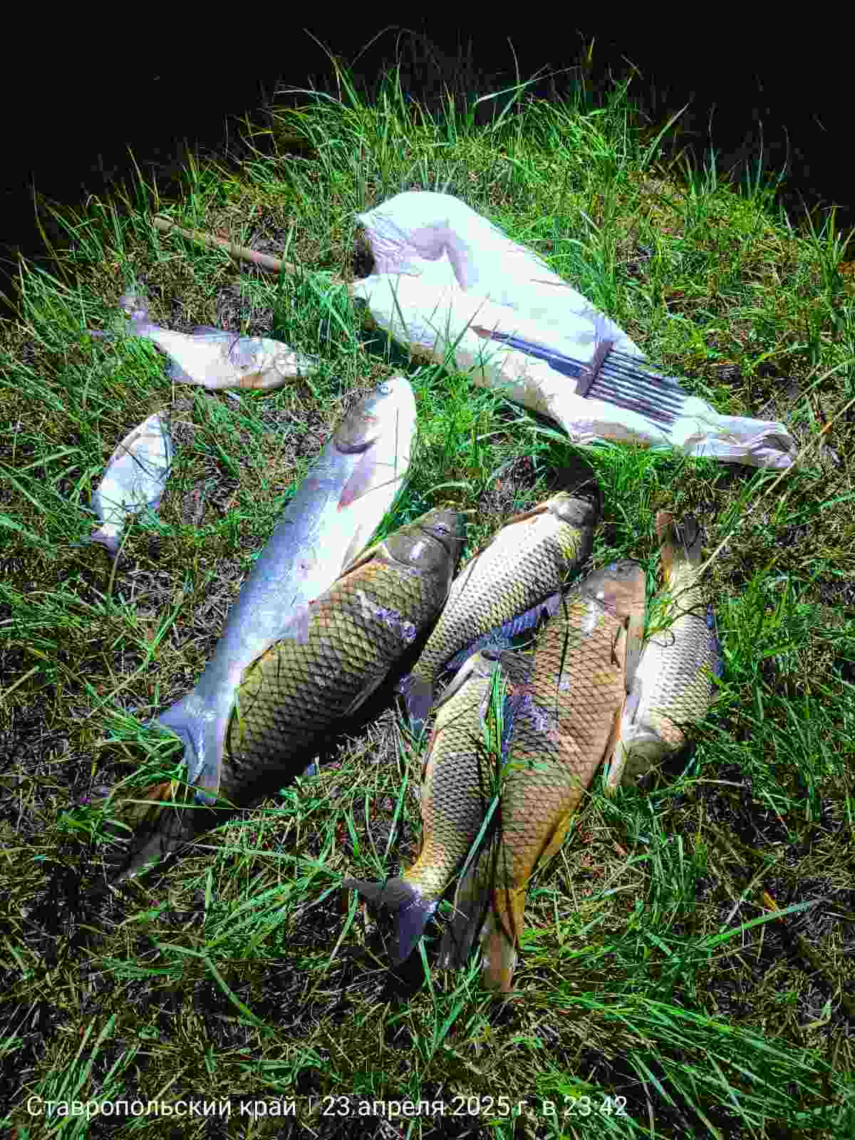 Информация о проведенном мероприятии