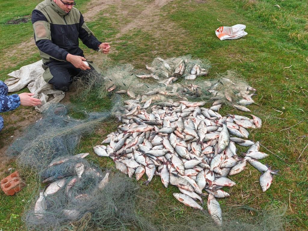 На веселовском водохранилище пресечена незаконная добыча водных биологических ресурсов