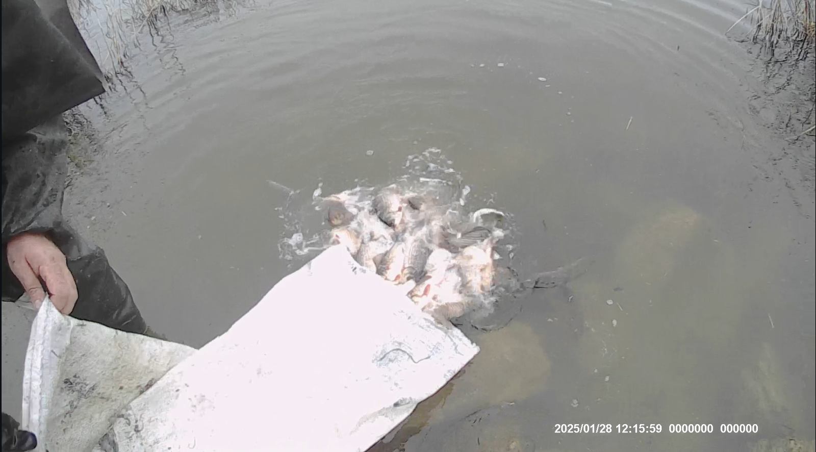 Результаты контрольного (надзорного) мероприятия на оз. Сасык-Сиваш Сакского района Республики Крым