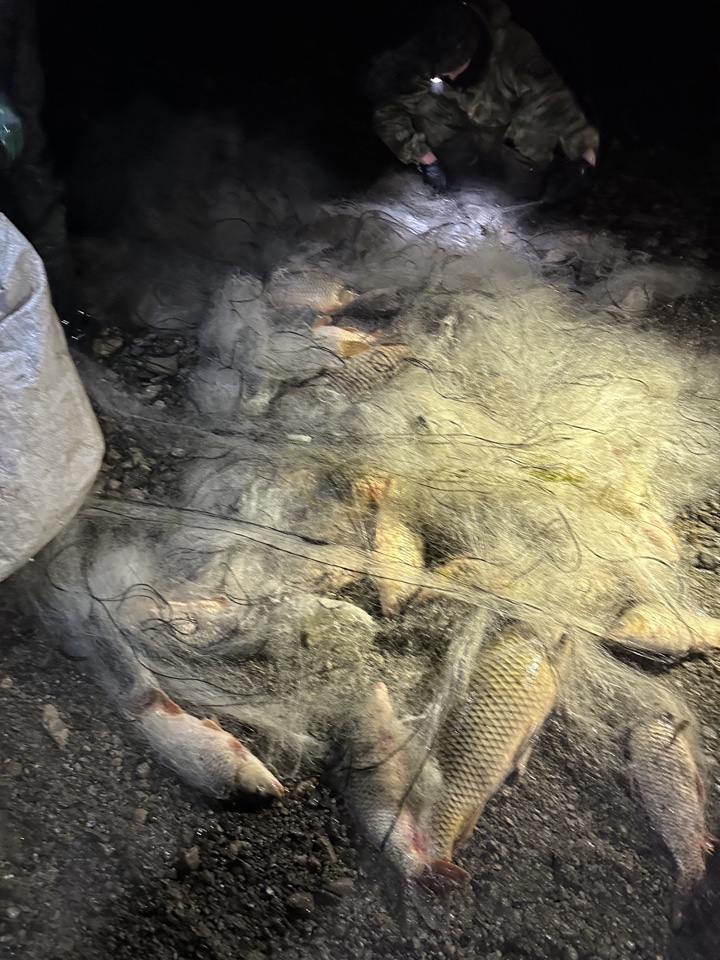 Результаты контрольного (надзорного) мероприятия на Альминском водохранилище Бахчисарайского района Республики Крым