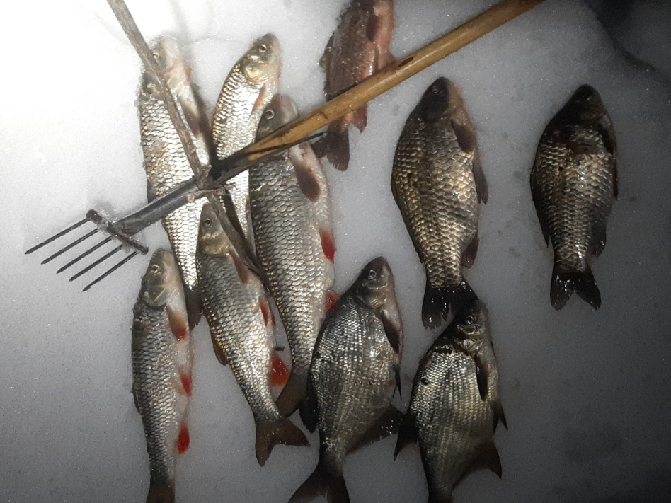 Пресечен незаконный вылов водных биоресурсов