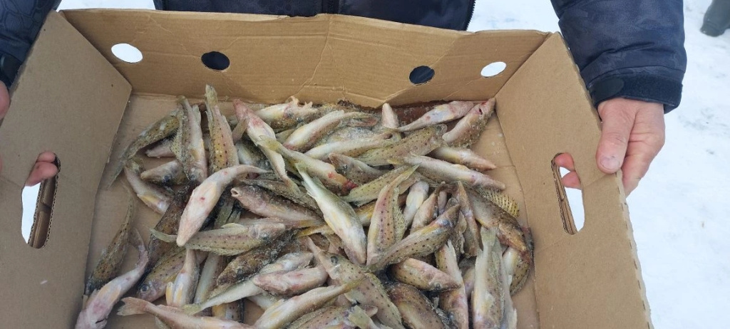 фотоматериал 3.jpg