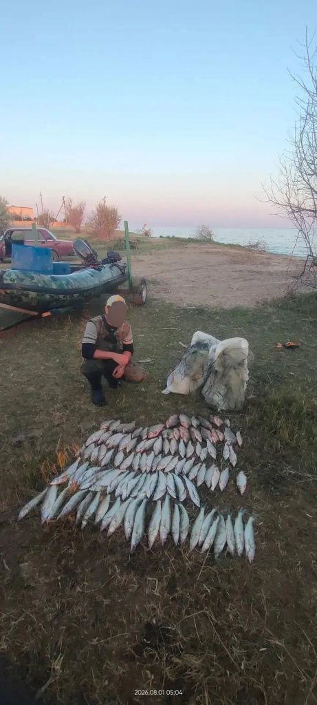 О факте грубого нарушения правил рыболовства на Цимлянском водохранилище  