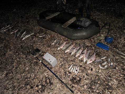 Электроудочка - самый варварский способ браконьерства