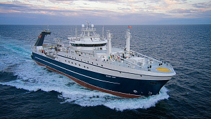 Рекомендованные объемы добычи (вылова) водных биологических ресурсов, общий допустимый улов которых не устанавливается, в Азовском и Черном морях на 2026 год