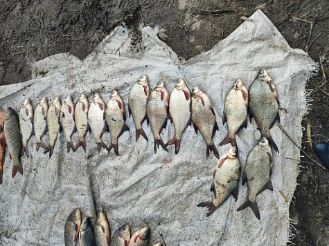 Инспекторы рыбоохраны совместно с инспекторами ГИБДД в рамках межведомственного взаимодействия вышли в рейд