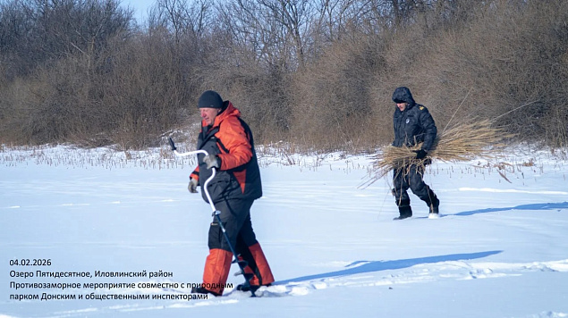 В Волгоградской области предотвращают замор рыбы