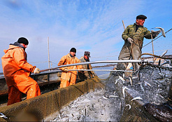 ПЕРЕЧЕНЬ видов водных биологических ресурсов внутренних вод Российской Федерации, за исключением внутренних морских вод Российской Федерации, общий допустимый улов которых не устанавливается, объемов и районов их добычи (вылова)