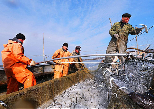ПЕРЕЧЕНЬ видов водных биологических ресурсов внутренних вод Российской Федерации, за исключением внутренних морских вод Российской Федерации, общий допустимый улов которых не устанавливается, объемов и районов их добычи (вылова)