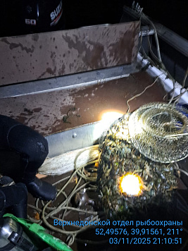 На реке Матыра пресечена незаконная добыча раков