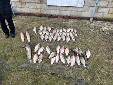 Результаты мероприятий, проведенных Азово-Кубанским отделом