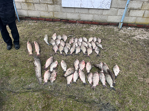 Результаты мероприятий, проведенных Азово-Кубанским отделом