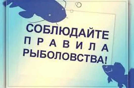 Цимлянский отдел напоминает: изъятие браконьерских сетей — вне закона